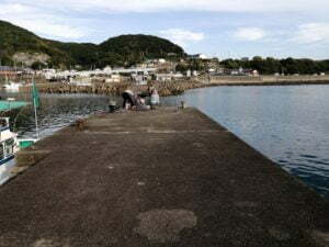 見老津港エギングポイント