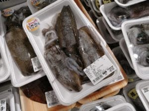 エギより安いアオリイカ_浜のうたせ