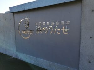 エギより安いアオリイカ_浜のうたせ