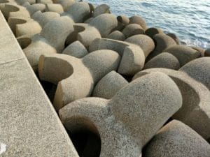 淡路のエギング佐野