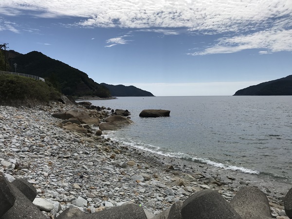 紀東のエギングポイント