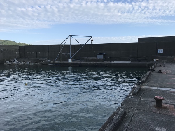 エギングポイント紀東大泊