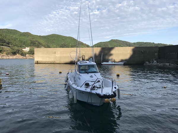 エギングポイント紀東大泊