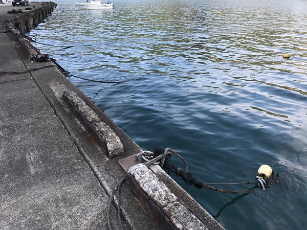 エギングポイント紀東大泊