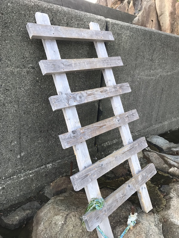 エギングポイント紀東大泊