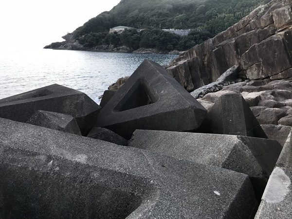 エギングポイント紀東大泊