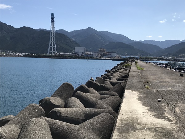 紀東エギングポイント