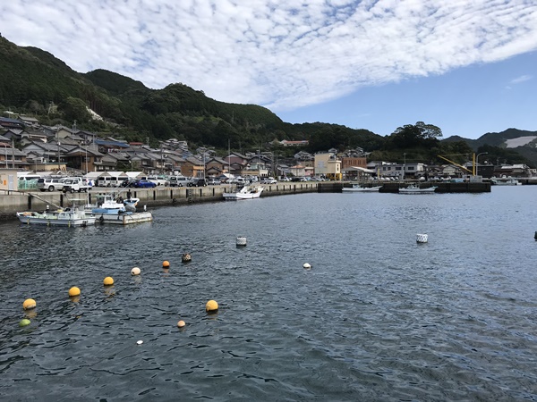 エギングポイント