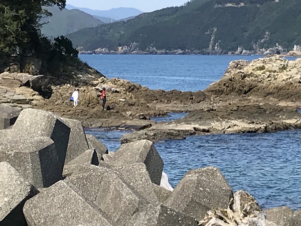 紀東のエギングポイント