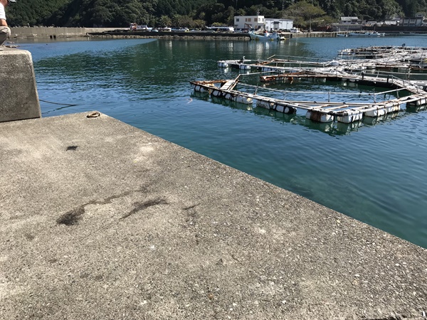 紀東のエギングポイント