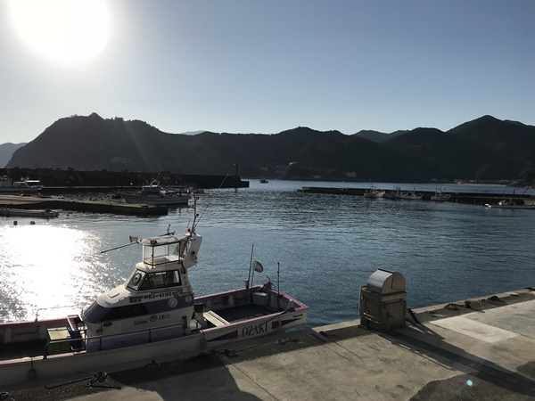 紀東のエギングポイント