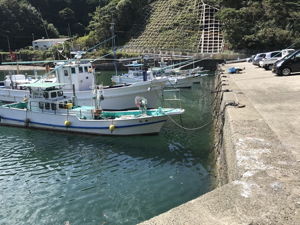 紀東エギングポイント