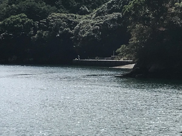 紀東エギングポイント