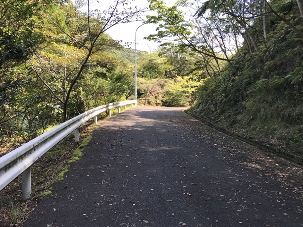 紀東エギングポイント