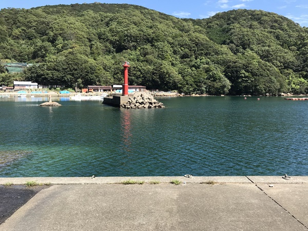 紀東エギングポイント