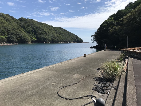 紀東エギングポイント