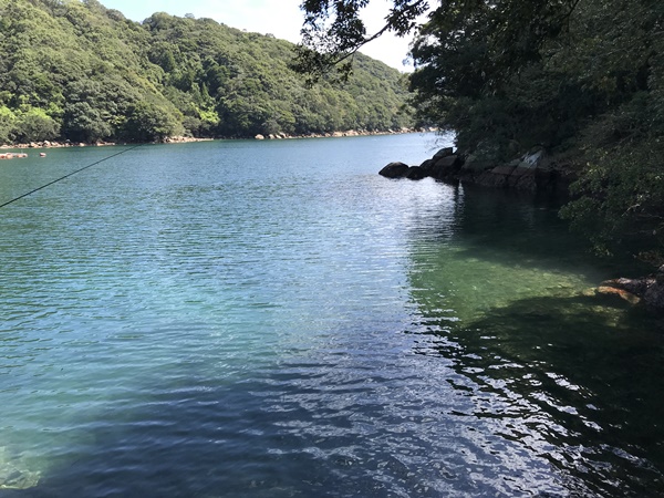 紀東エギングポイント