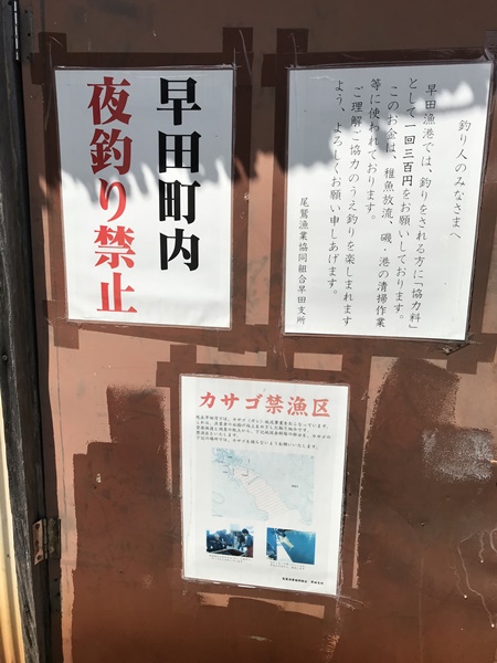 紀東エギングポイント