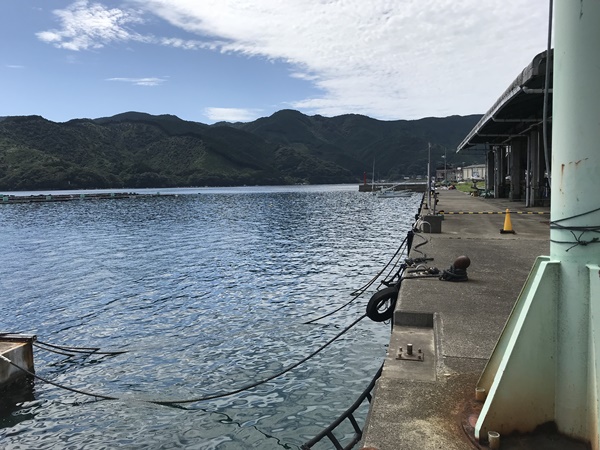 エギングポイント