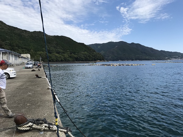 エギングポイント