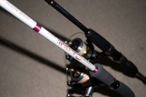 和歌山エギング