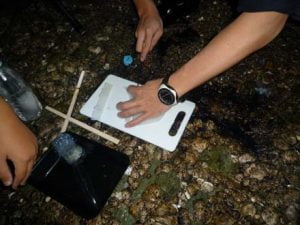 和歌山エギング