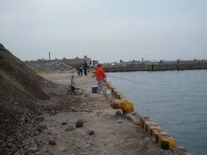 和歌山エギング