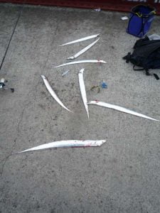 和歌山エギング