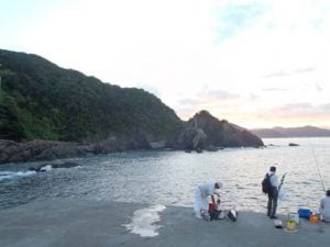 和歌山エギング