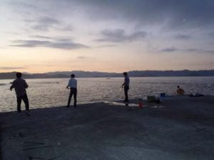 和歌山エギング