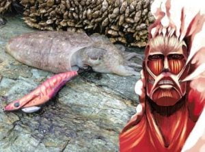 和歌山エギング