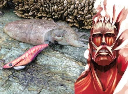 和歌山双子島エギング