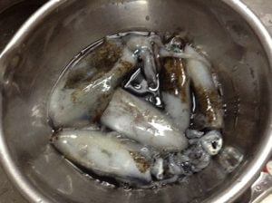 日本海エギング