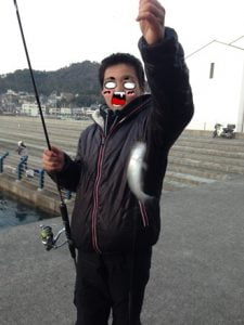 和歌山エギング