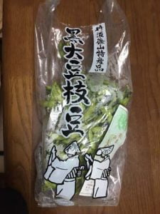 日本海エギング