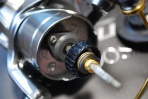 19ヴァンキッシュ