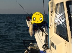 ティップランエギング