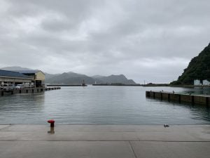 香住でエギング