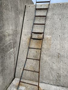 和歌山エギング野島