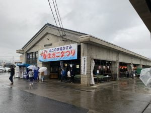 香住でエギング