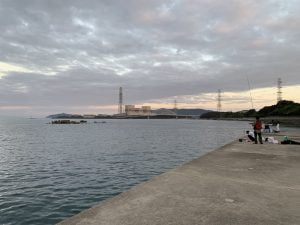 和歌山エギング野島