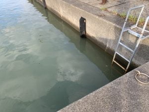 南紀のエギングポイント印南