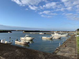 南紀のエギングポイント印南