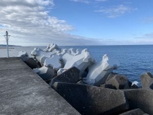 南紀のエギングポイント一本松
