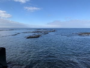 南紀のエギングポイント一本松