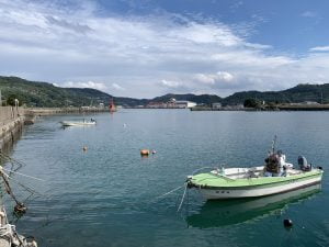 下津西セメント工場裏