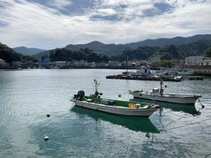 下津西セメント工場裏