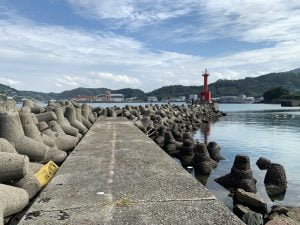 下津西セメント工場裏