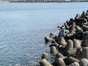 下津西セメント工場裏