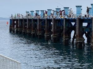 下津ピアーランド